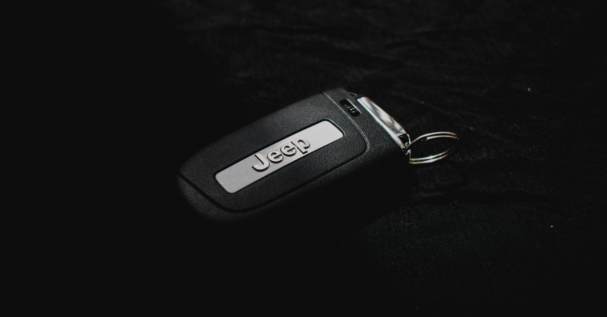 Ford car key fob — Pine Lake Locksmith