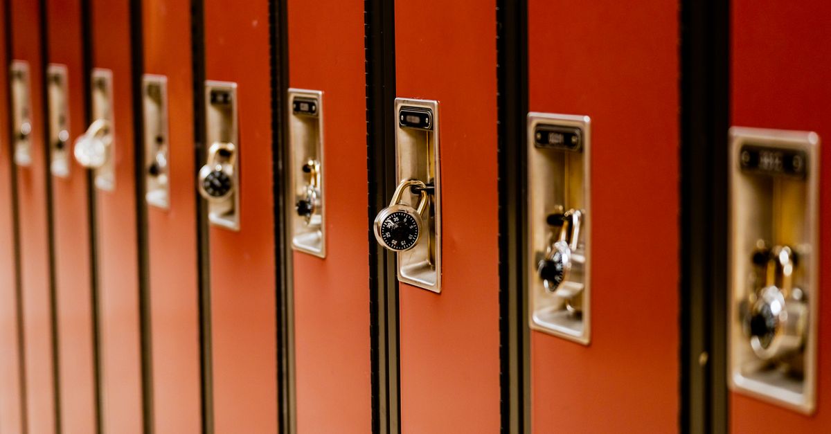 Choosing the Right Commercial Locks for Pine Lake Businesses — Pine Lake Locksmith